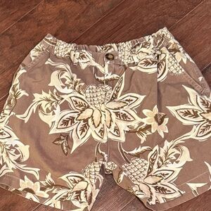 Chubbies Pina Quadlata Khaki Shorts
